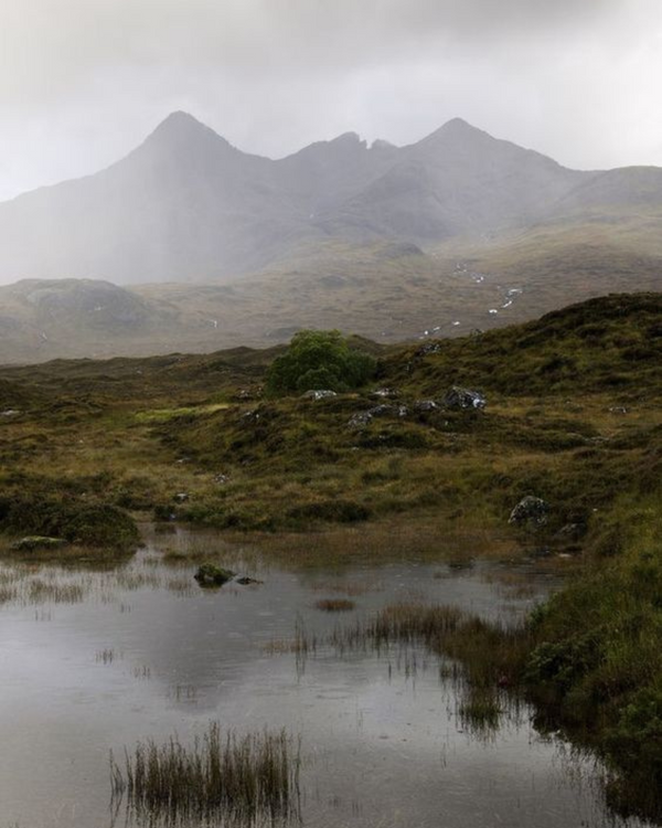 Why I got an Acid Running tattoo at 61