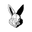 Acid Running logo