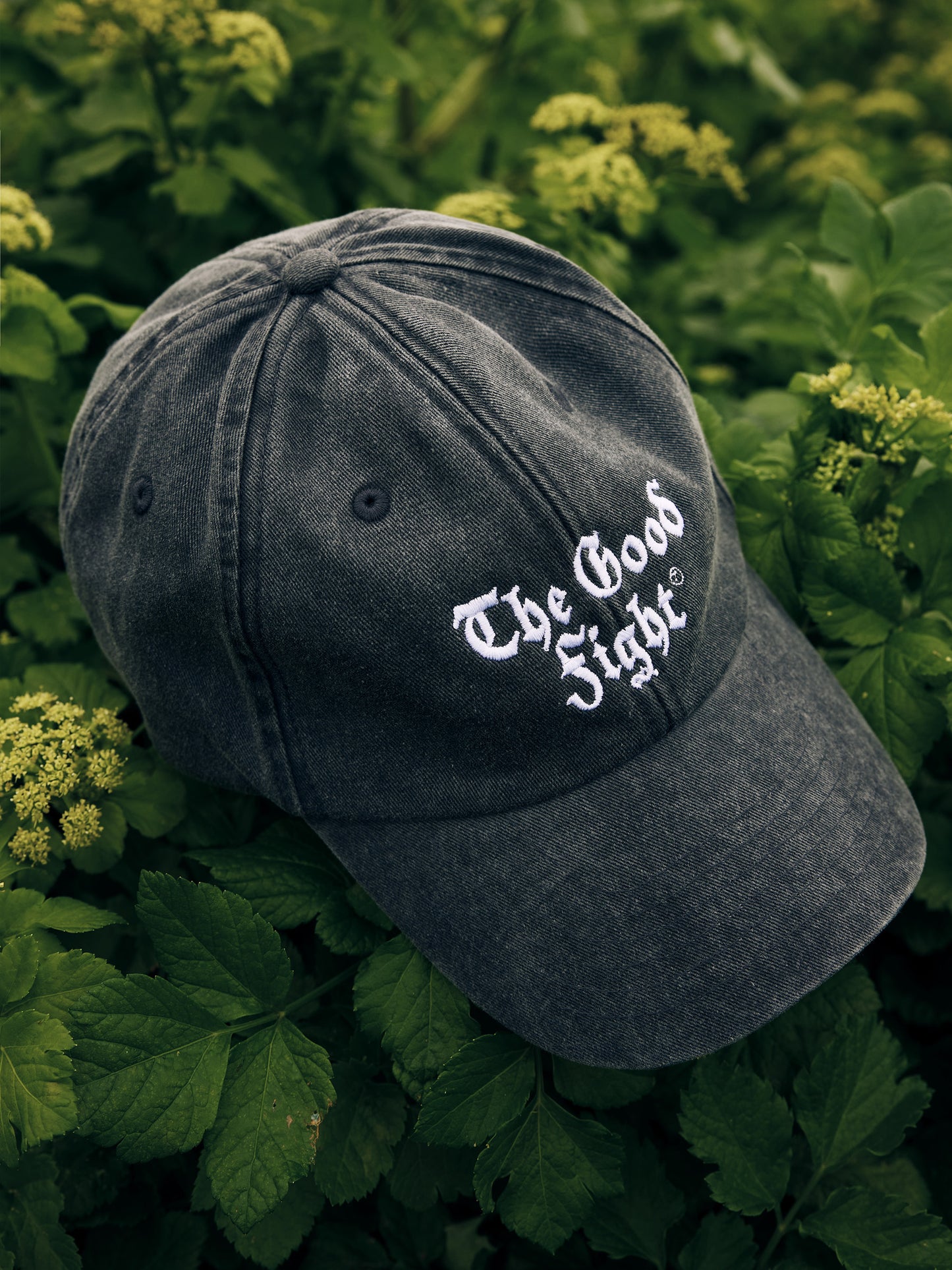 The Good Fight Cap - Washed Black