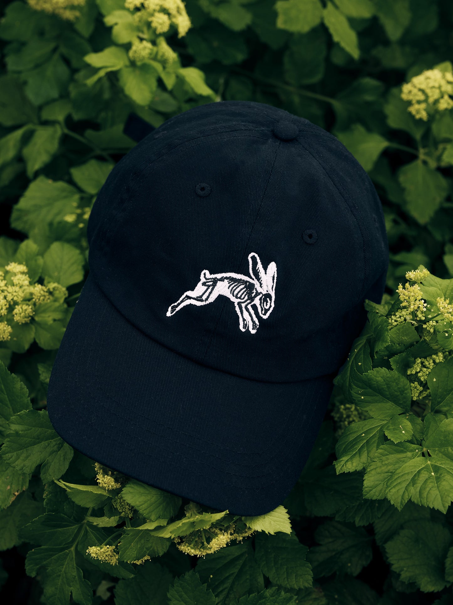 Dream Hare Cap - Black