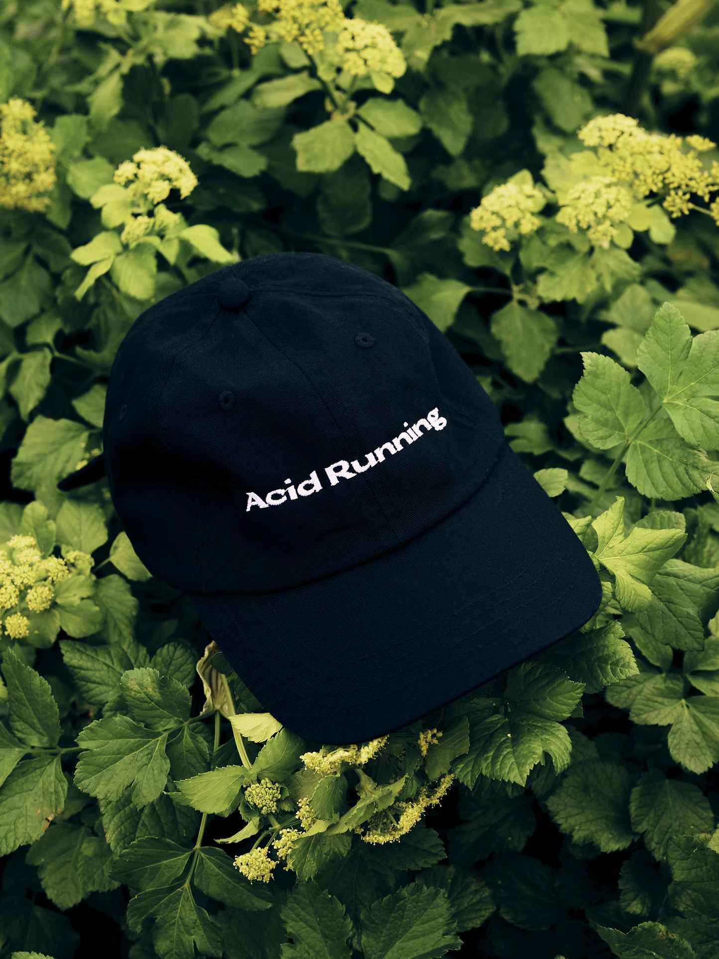 Luxury Pace Cap - Black